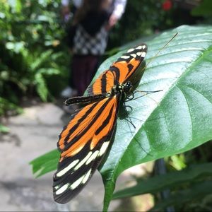 Meet your Posher, Kenly